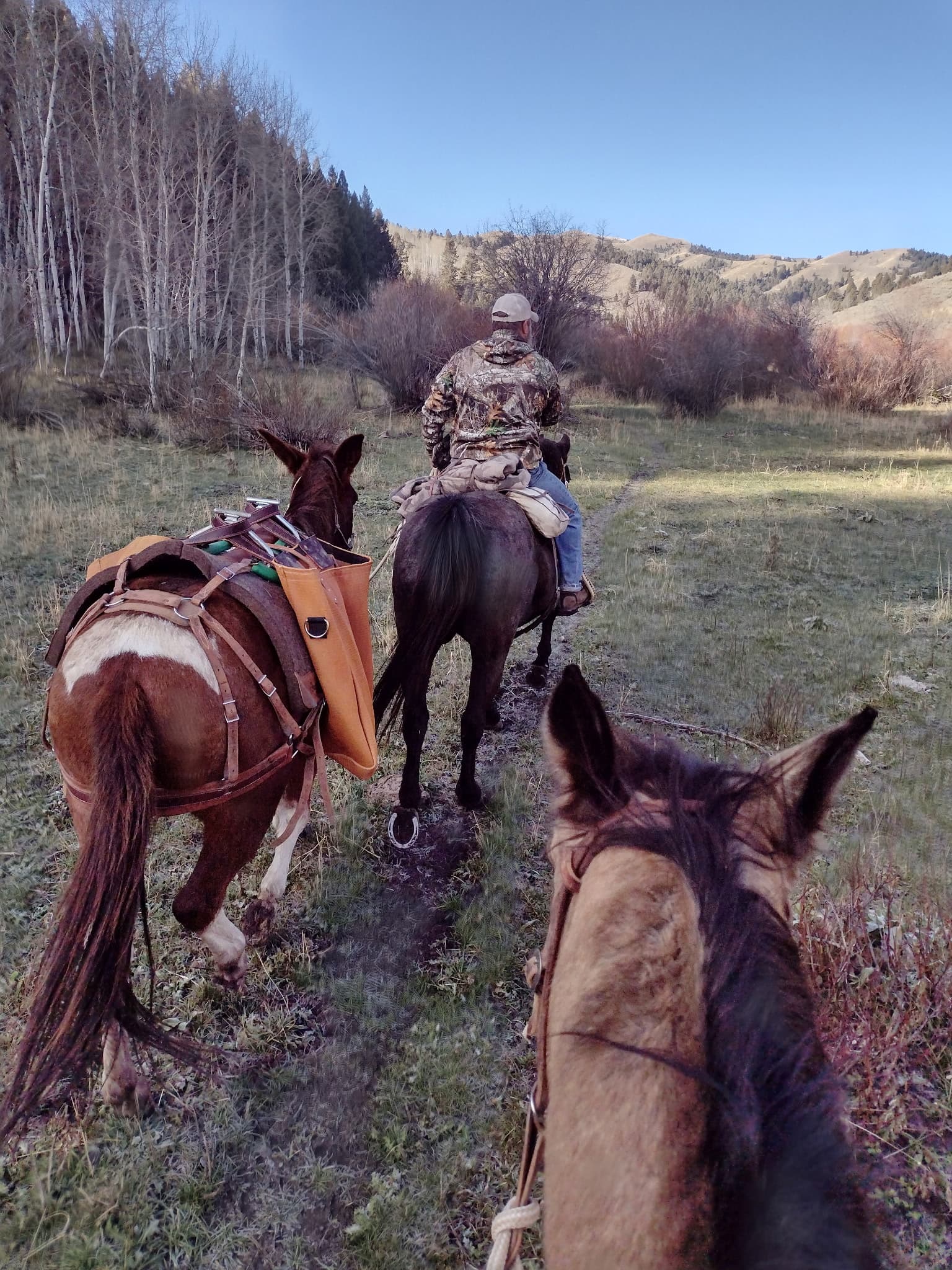 Trail riding through the backcountry