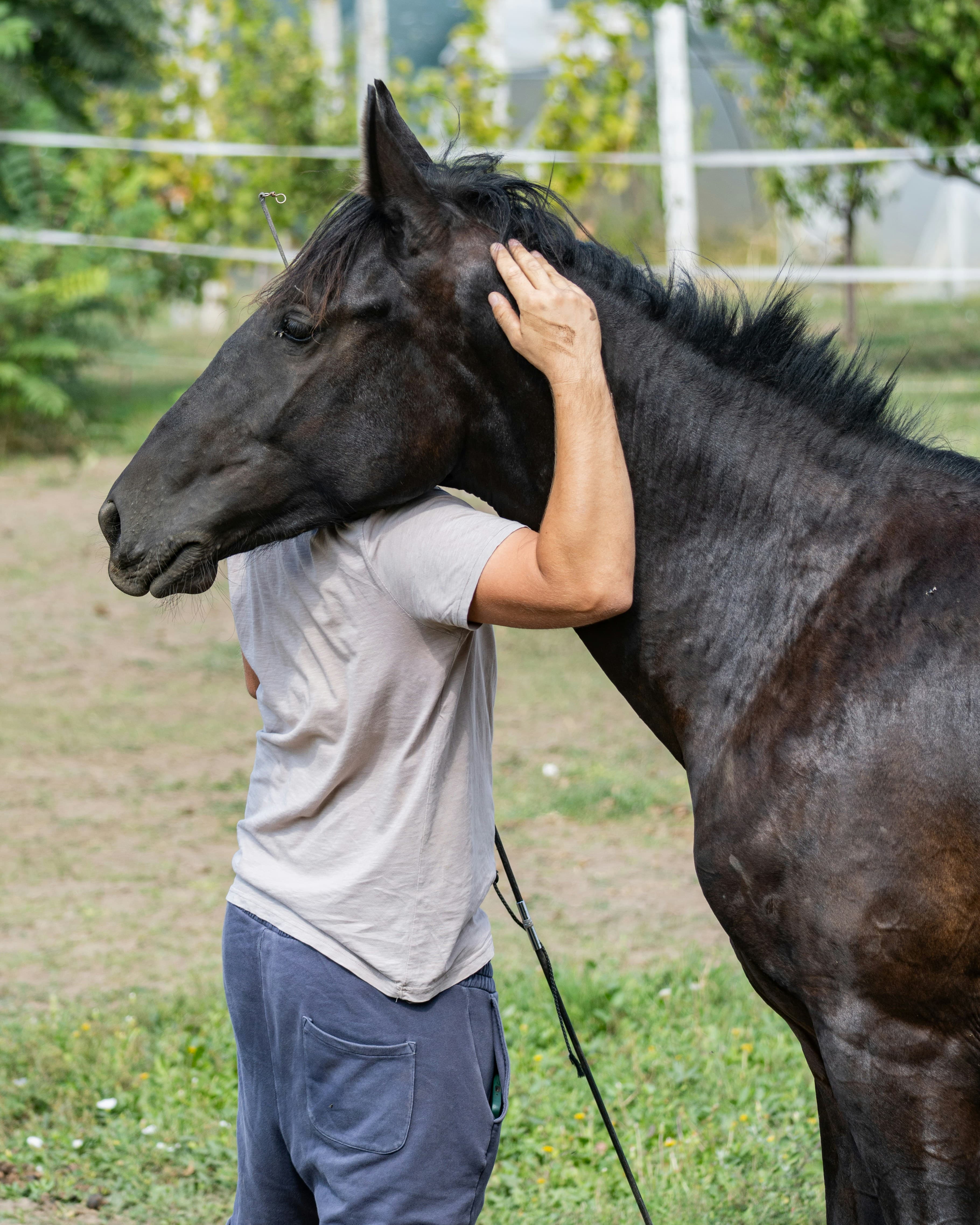6-week academy participants with horses